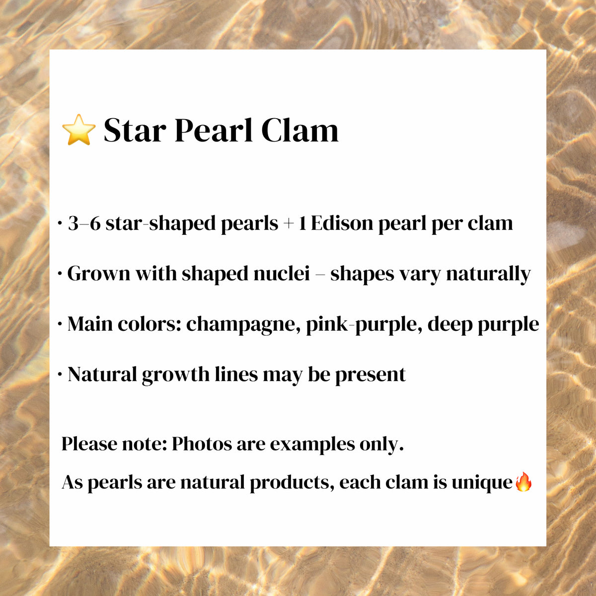 A03. Star-Shaped Pearl Clam (3–6 Star Pearls + 1 Edison Pearl)