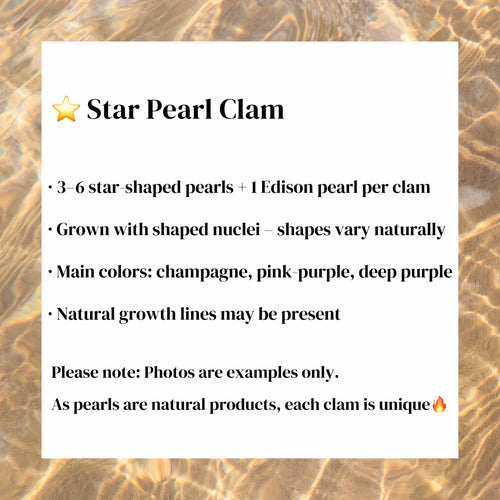 A03. Star-Shaped Pearl Clam (3–6 Star Pearls + 1 Edison Pearl)