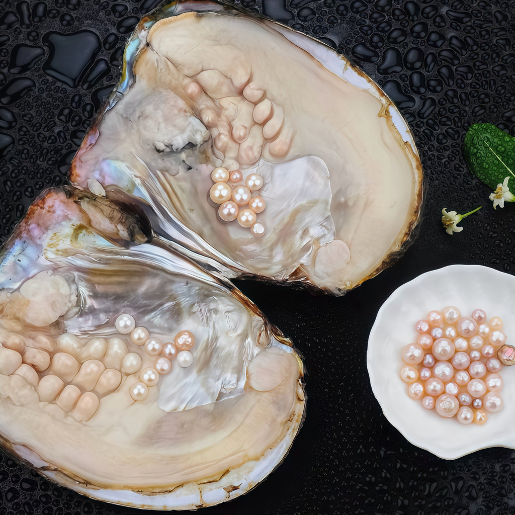 A00.🔥Beginner-Friendly | Multi-pearl Clam(15-30 pearls inside）
