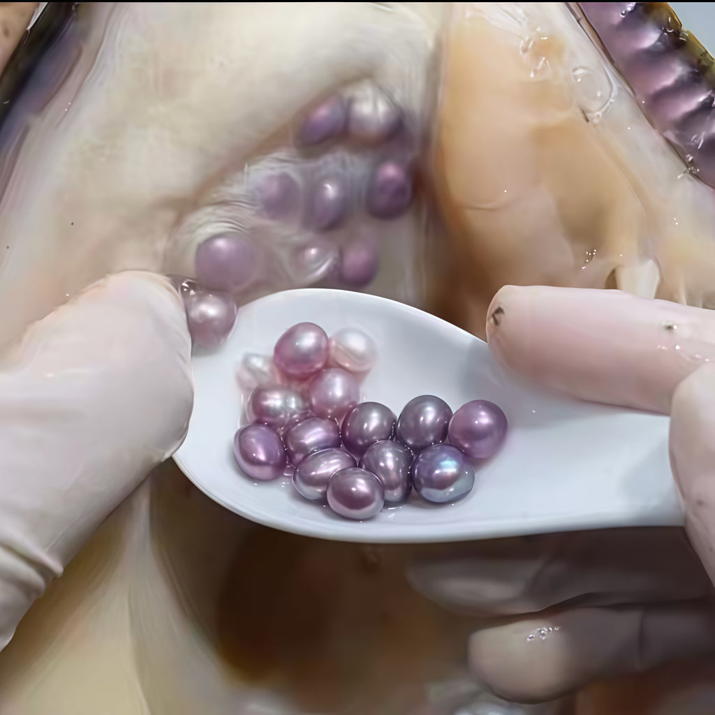 A00.🔥Beginner-Friendly | Multi-pearl Clam(15-30 pearls inside）
